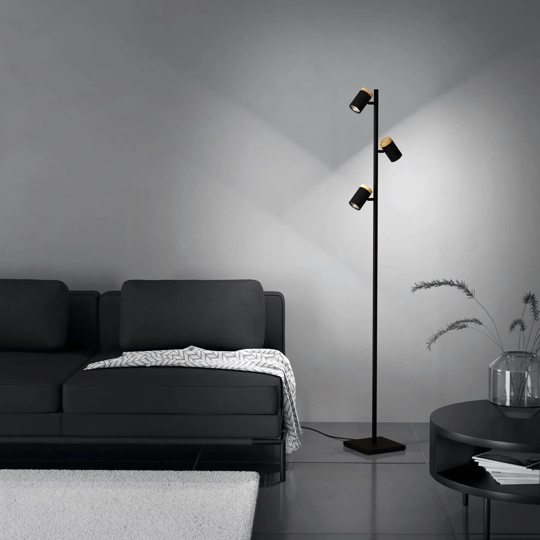 Eglo Cartagena Floor Lamp