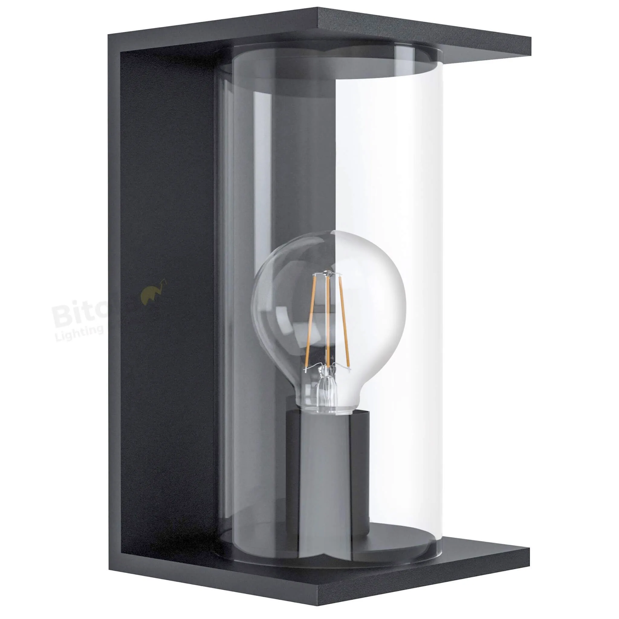 Eglo Cascinetta Black Modern Outdoor Lantern Wall Light