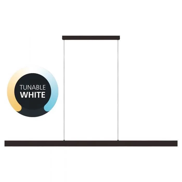 Eglo Climene 2 Tri-Colour 48w LED Linear Up Down Pendant Light - 240cm