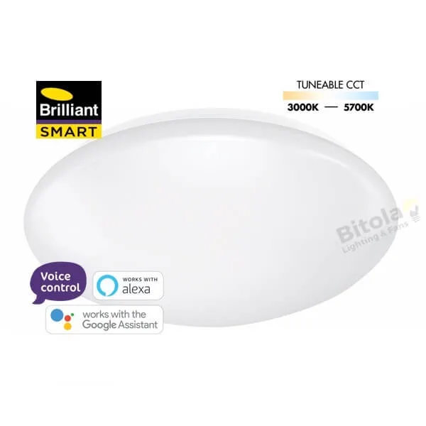 Brilliant Smart Cordia WiFi 24w LED Ceiling Oyster Light