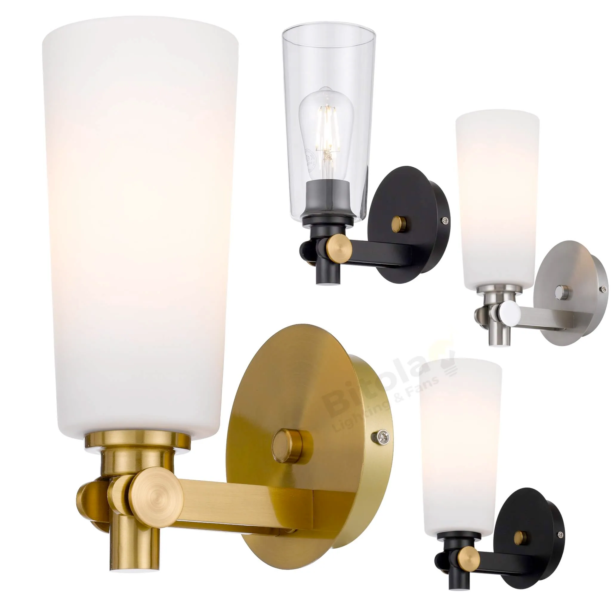Telbix Delmar Metal and Glass Wall Light Sconce