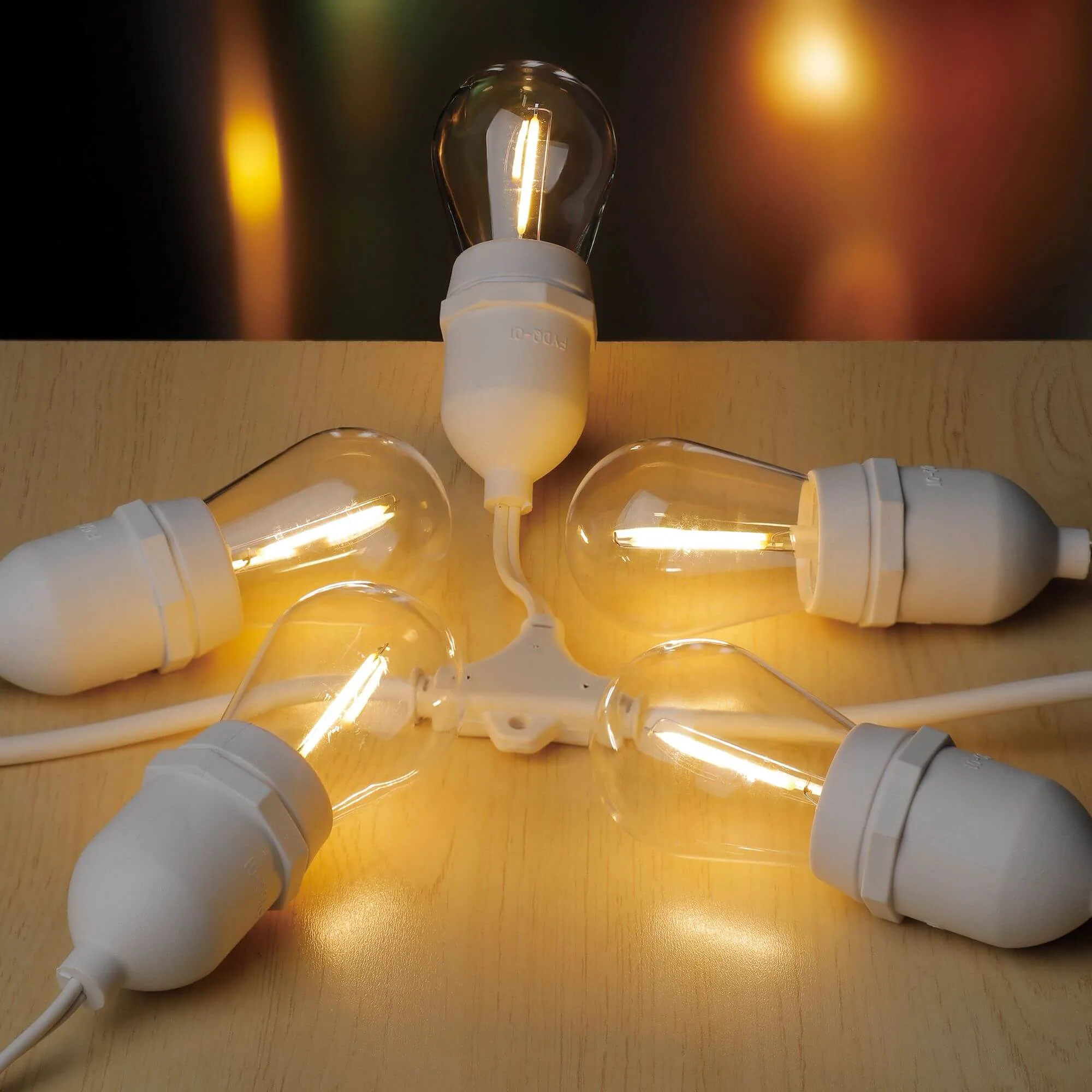 Eglo Festoon-1 Kit 10xE27 12V 2700 White Hanging
