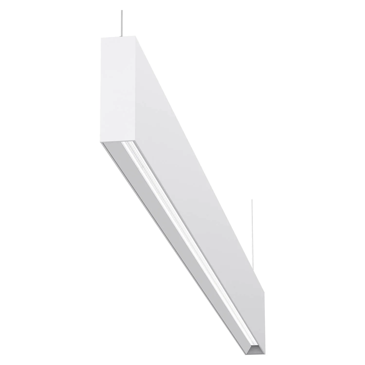 Domus Max-35
