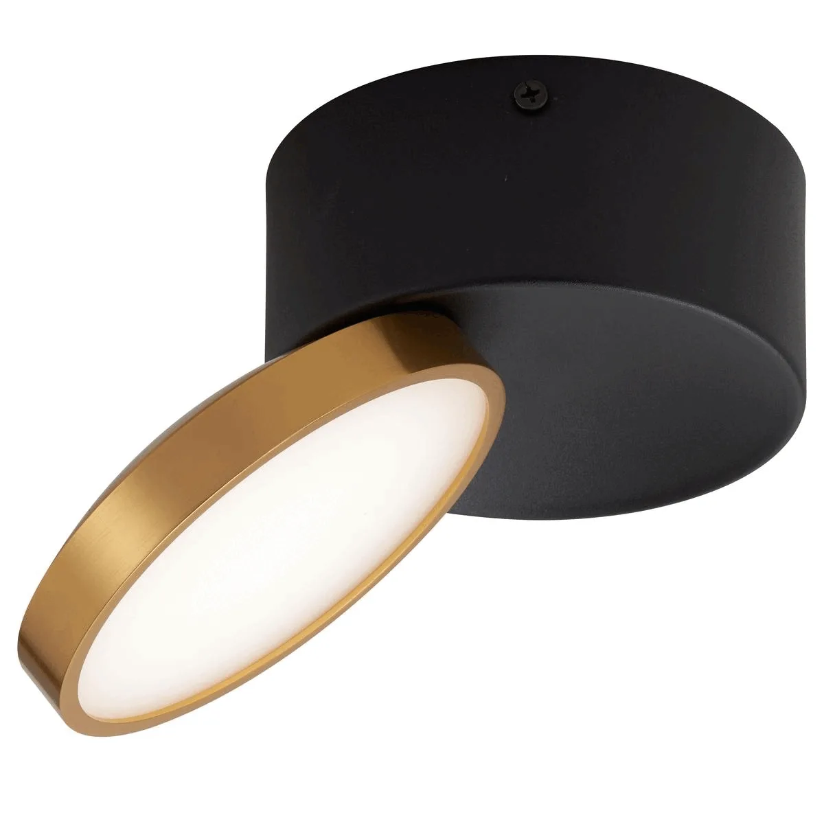 Telbix Netra Tilt Swivel Adjustable 15w LED Surface Mounted Downlight / Spot Lights