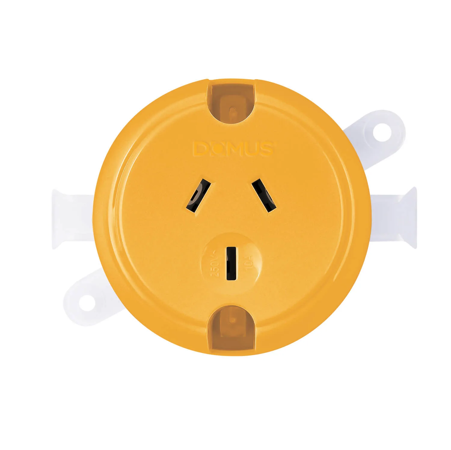 Domus Surface Socket