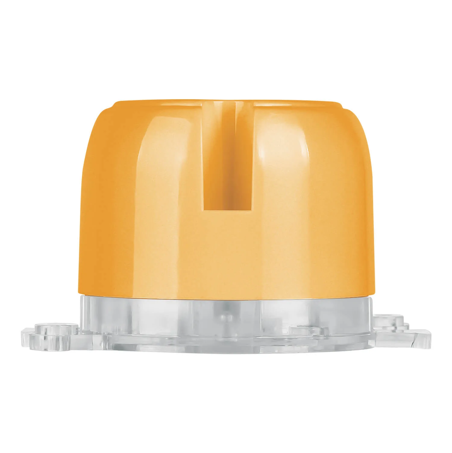 Domus Surface Socket
