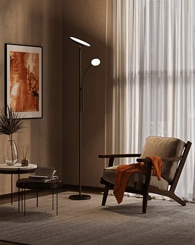 Domus (Website)