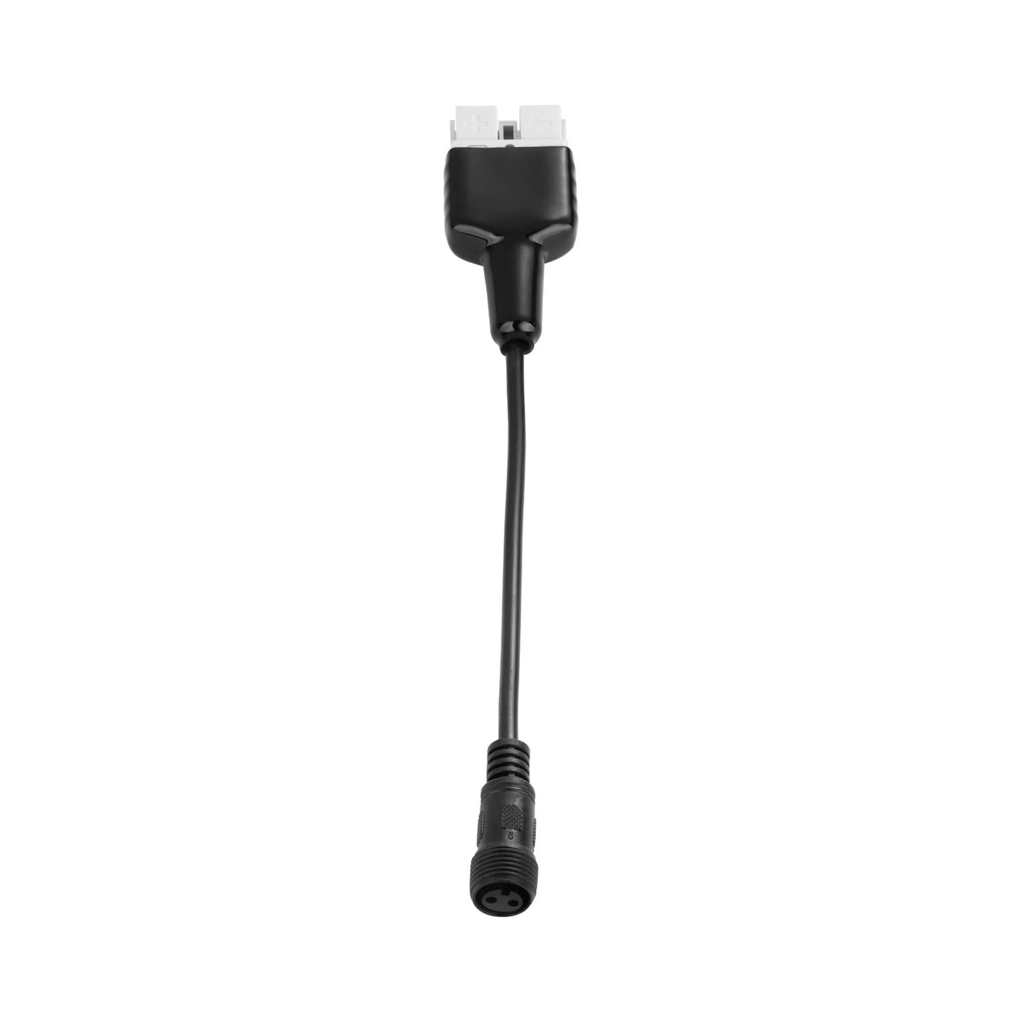 Eglo Festoon-2 Anderson Plug