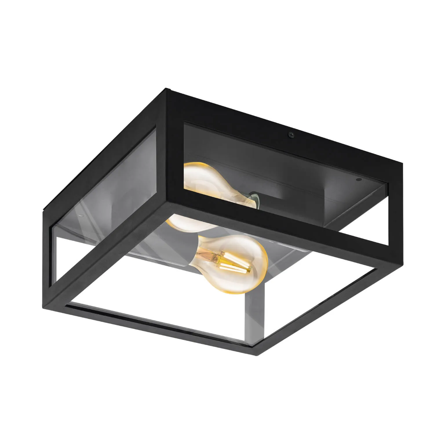 Eglo Alamonte 2 Light Outdoor Wall / Ceiling Light
