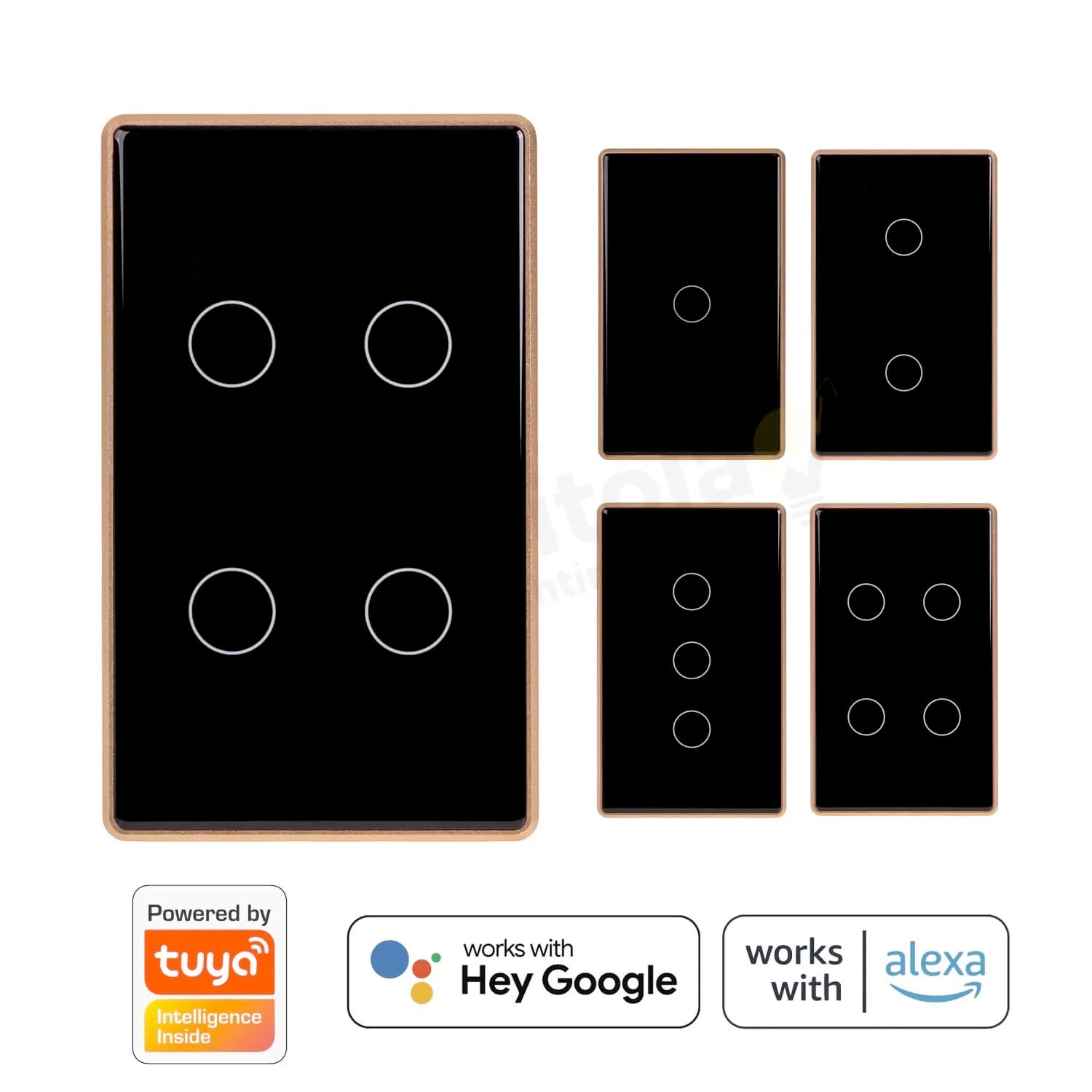 Havit Wifi Gang Switches Black Gold HV9220