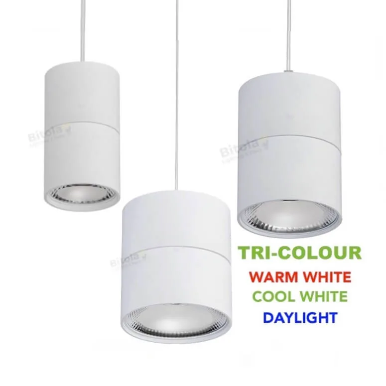 Havit Nella White Tri-Colour 7w / 12w / 18w LED Pendant Light