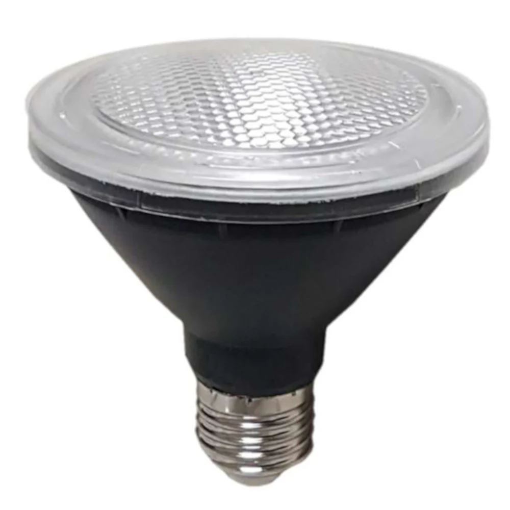 TELBIX COMET PAR30 GLOBE LED 10w800Lm E27 5000K IP44